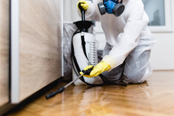 Best Emergency Pest Control  in Middle River, MD