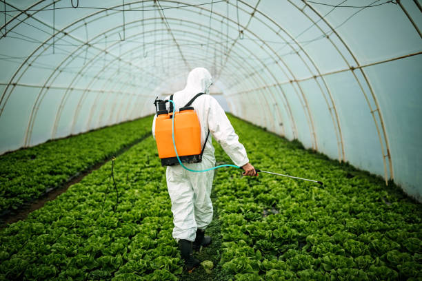 Reliable Middle River, MD Pest Control Solutions